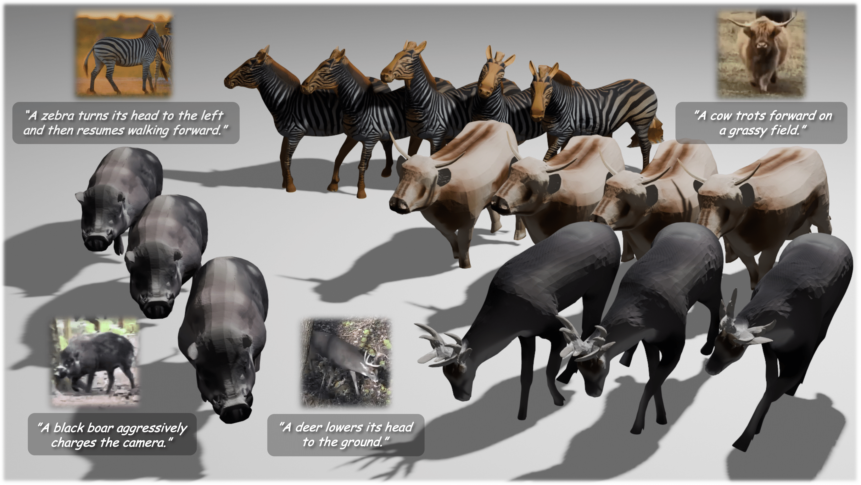 Figure for Kirin: Animal Motion Generation from In-the-Wild Video
