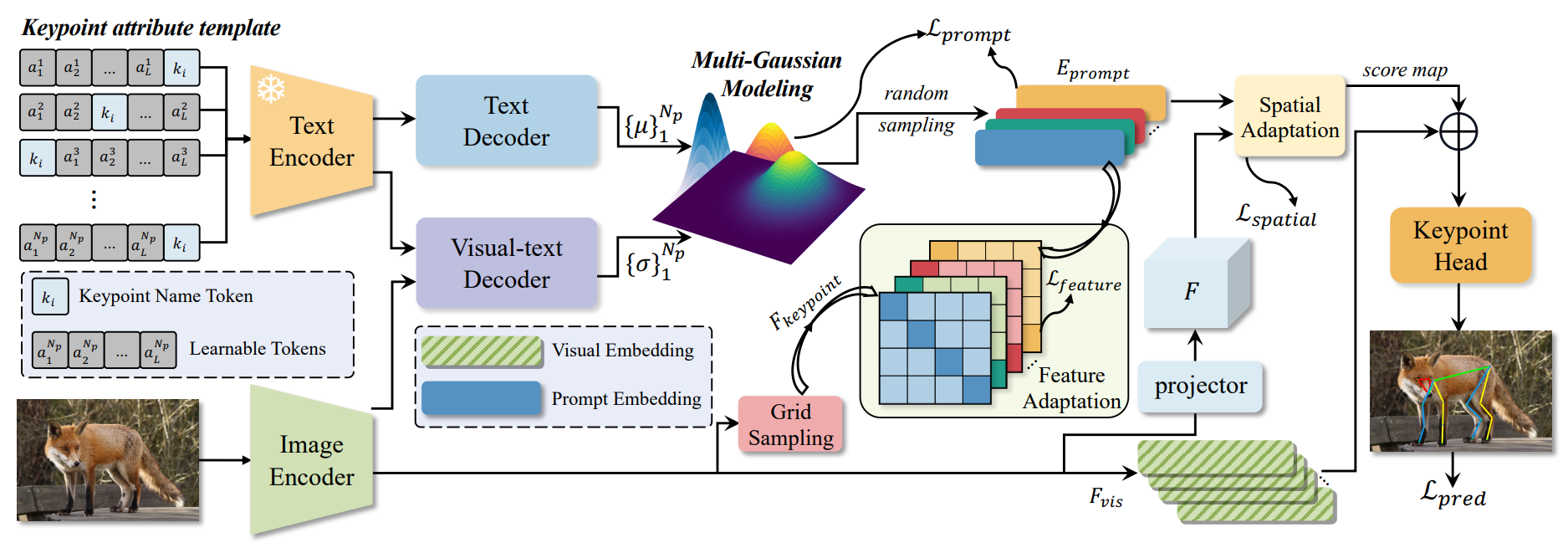 Figure for Probabilistic Prompt Distribution Learning for Animal Pose Estimation
