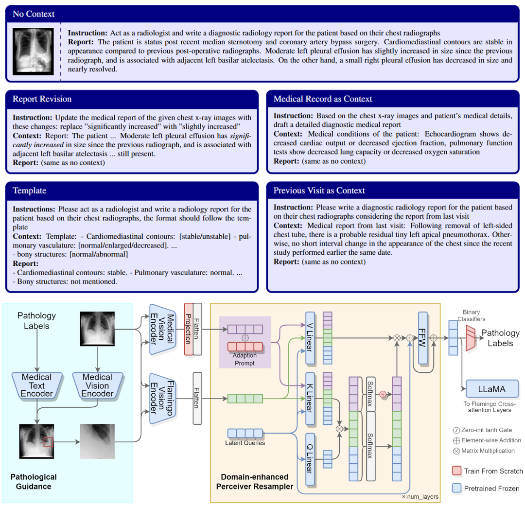 Figure for Benchmark Dataset for Radiology Report Generation with Instructions and Contexts
